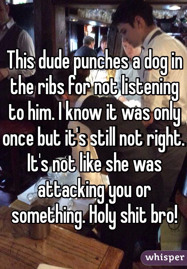 This dude punches a dog in the ribs for not listening to him. I know it was only once but it's still not right. It's not like she was attacking you or something. Holy shit bro! 