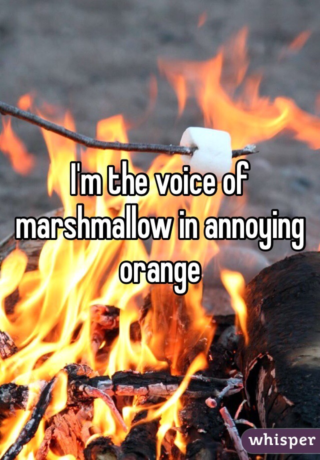 I'm the voice of marshmallow in annoying orange 
