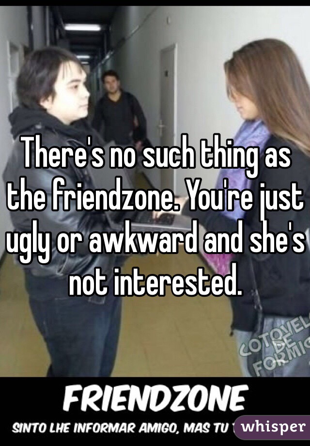 There's no such thing as the friendzone. You're just ugly or awkward and she's not interested.