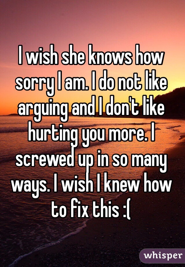 I wish she knows how sorry I am. I do not like arguing and I don't like hurting you more. I screwed up in so many ways. I wish I knew how to fix this :( 