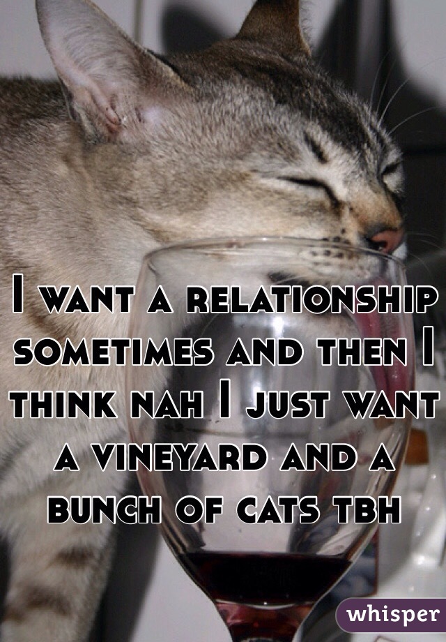 I want a relationship sometimes and then I think nah I just want a vineyard and a bunch of cats tbh 