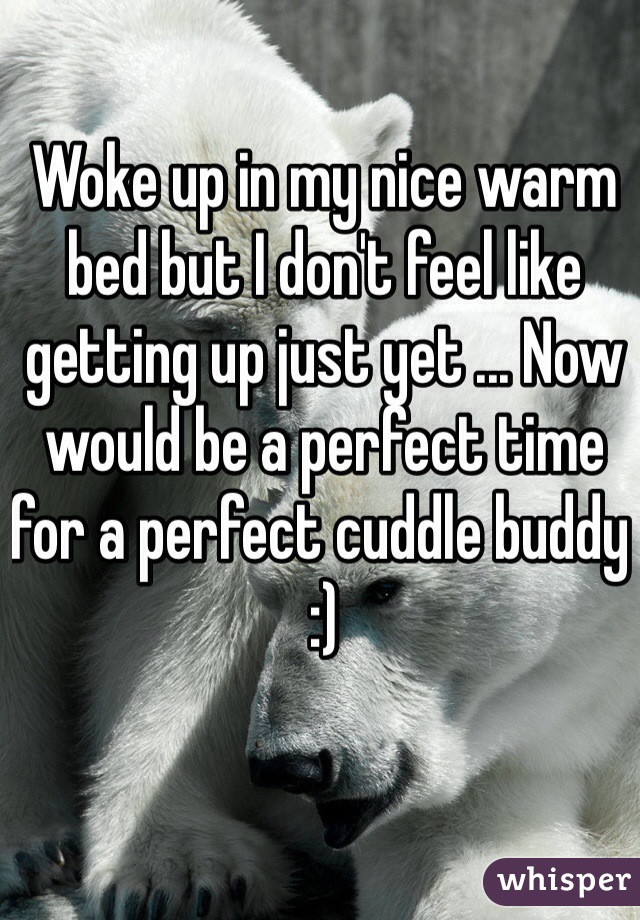 Woke up in my nice warm bed but I don't feel like getting up just yet ... Now would be a perfect time for a perfect cuddle buddy :) 