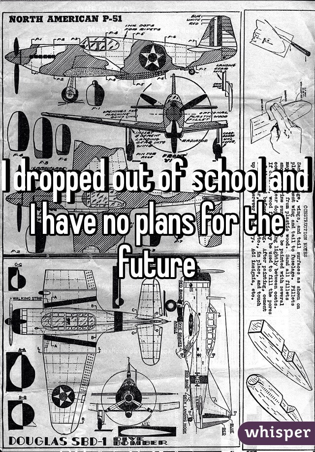 I dropped out of school and I have no plans for the future 