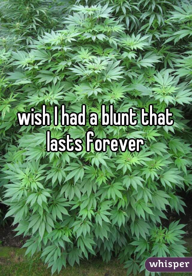 wish I had a blunt that lasts forever 
