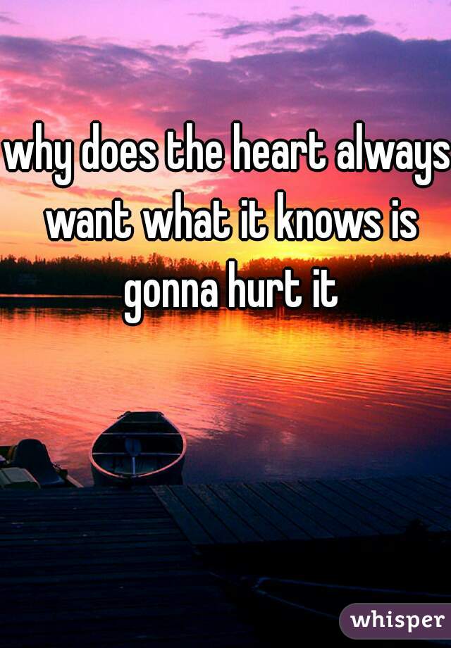 why does the heart always want what it knows is gonna hurt it