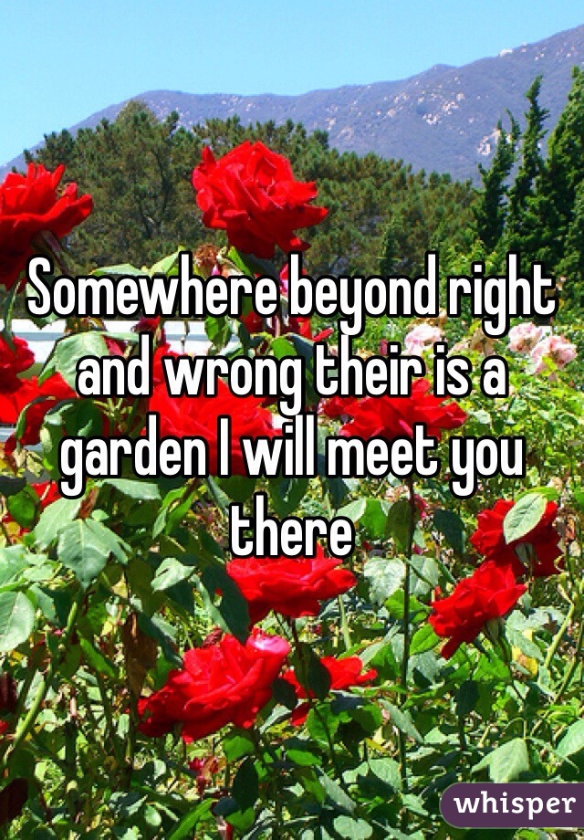 Somewhere beyond right and wrong their is a garden I will meet you there