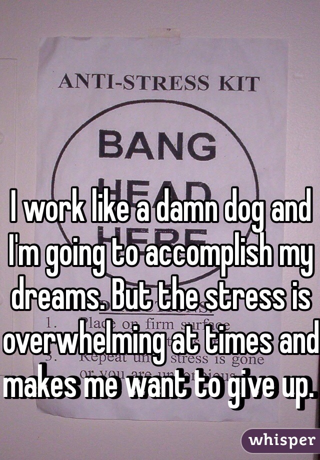 I work like a damn dog and I'm going to accomplish my dreams. But the stress is overwhelming at times and makes me want to give up. 