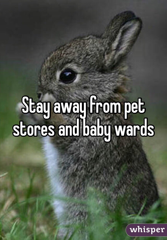 Stay away from pet stores and baby wards 