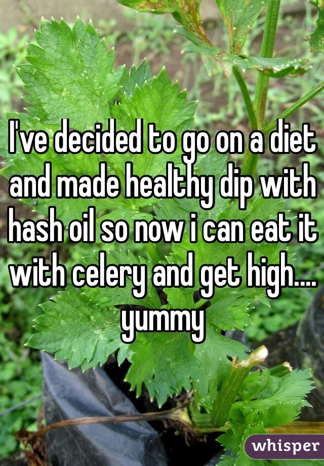 I've decided to go on a diet and made healthy dip with hash oil so now i can eat it with celery and get high.... yummy
