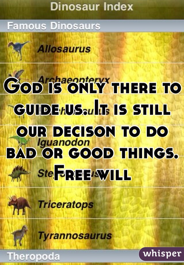 God is only there to guide us. It is still our decison to do bad or good things. Free will