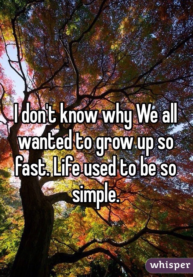 I don't know why We all wanted to grow up so fast. Life used to be so simple.