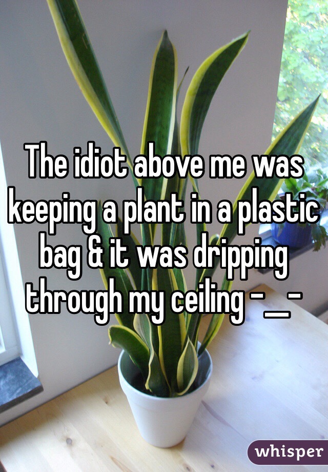 The idiot above me was keeping a plant in a plastic bag & it was dripping through my ceiling -__-
