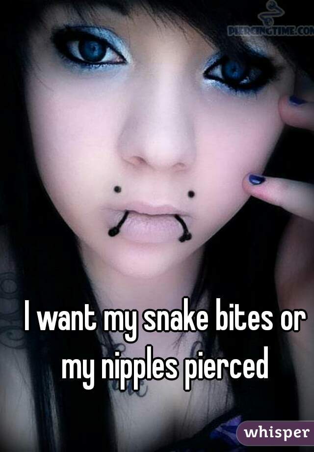 I want my snake bites or my nipples pierced 