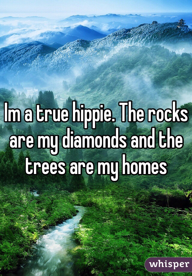 Im a true hippie. The rocks are my diamonds and the trees are my homes