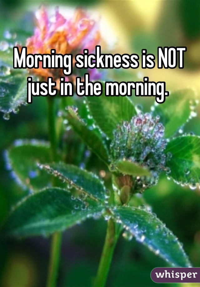 Morning sickness is NOT just in the morning. 