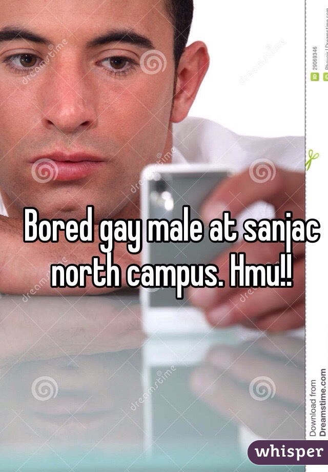 Bored gay male at sanjac north campus. Hmu!!