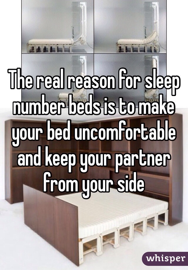 The real reason for sleep number beds is to make your bed uncomfortable and keep your partner from your side 