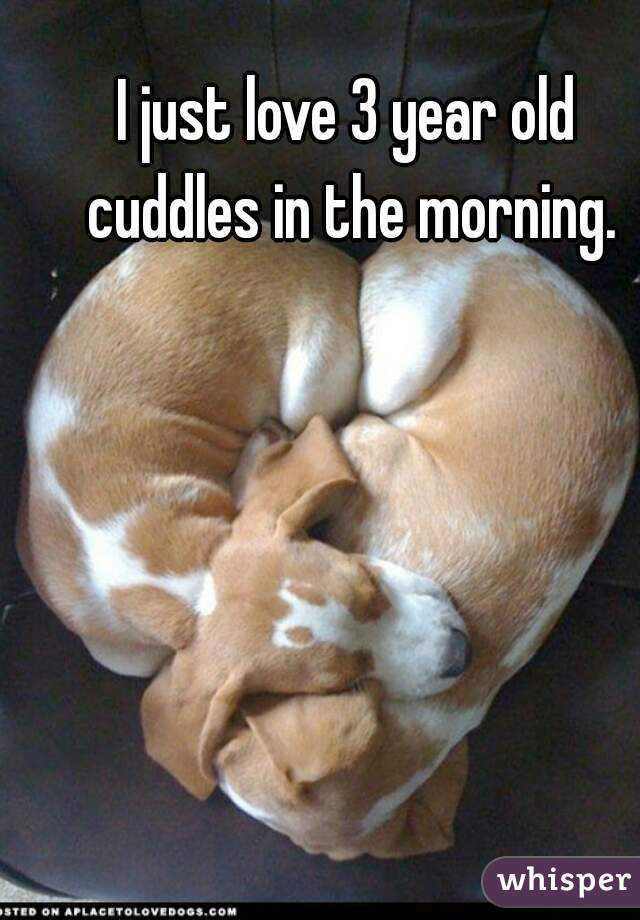 I just love 3 year old cuddles in the morning.
