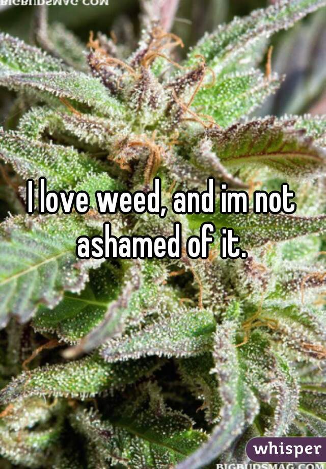 I love weed, and im not ashamed of it. 