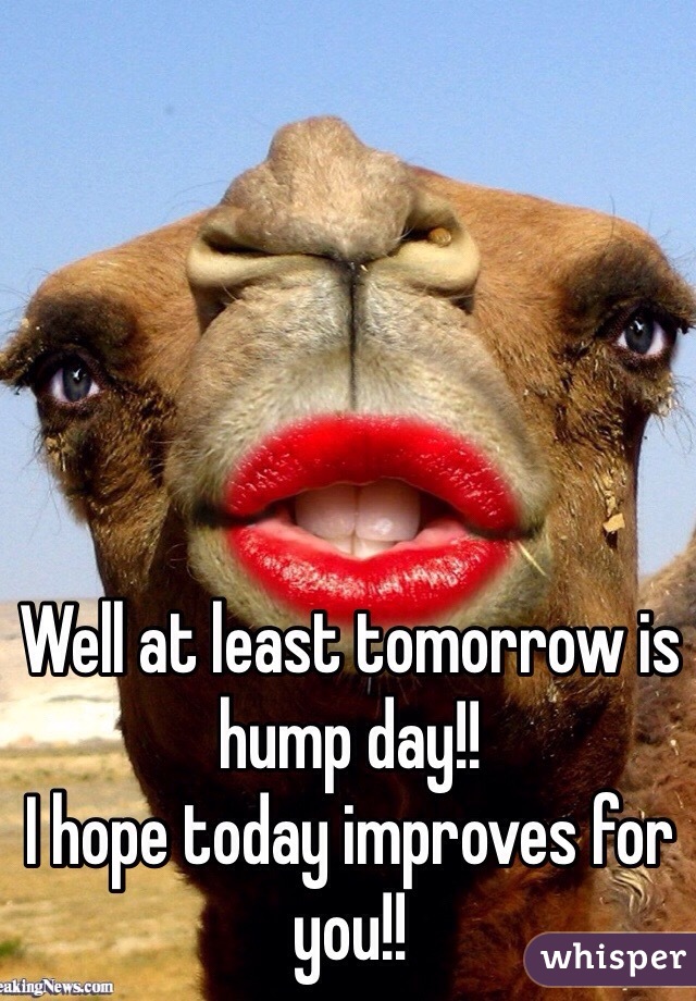 Well at least tomorrow is hump day!!
I hope today improves for you!!