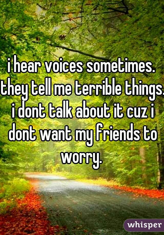 i hear voices sometimes. they tell me terrible things. i dont talk about it cuz i dont want my friends to worry. 