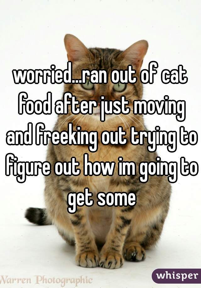 worried...ran out of cat food after just moving and freeking out trying to figure out how im going to get some