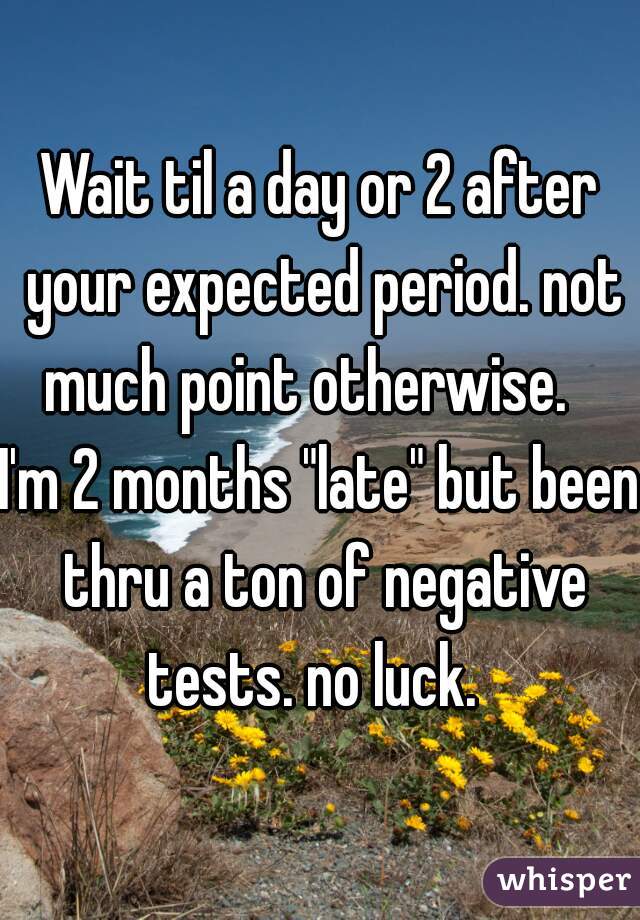Wait til a day or 2 after your expected period. not much point otherwise.   
I'm 2 months "late" but been thru a ton of negative tests. no luck.  