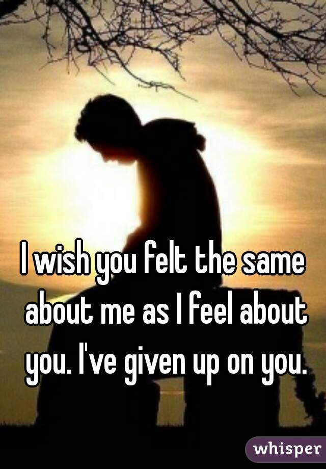 I wish you felt the same about me as I feel about you. I've given up on you.