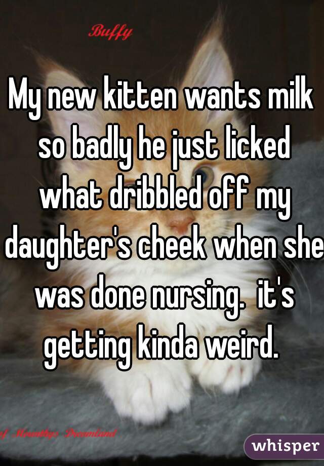 My new kitten wants milk so badly he just licked what dribbled off my daughter's cheek when she was done nursing.  it's getting kinda weird. 