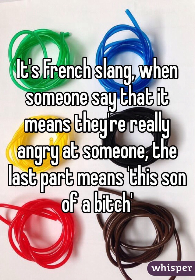 It's French slang, when someone say that it means they're really angry at someone, the last part means 'this son of a bitch'