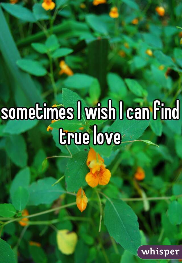 sometimes I wish I can find true love 