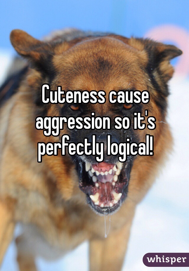 Cuteness cause aggression so it's perfectly logical!
