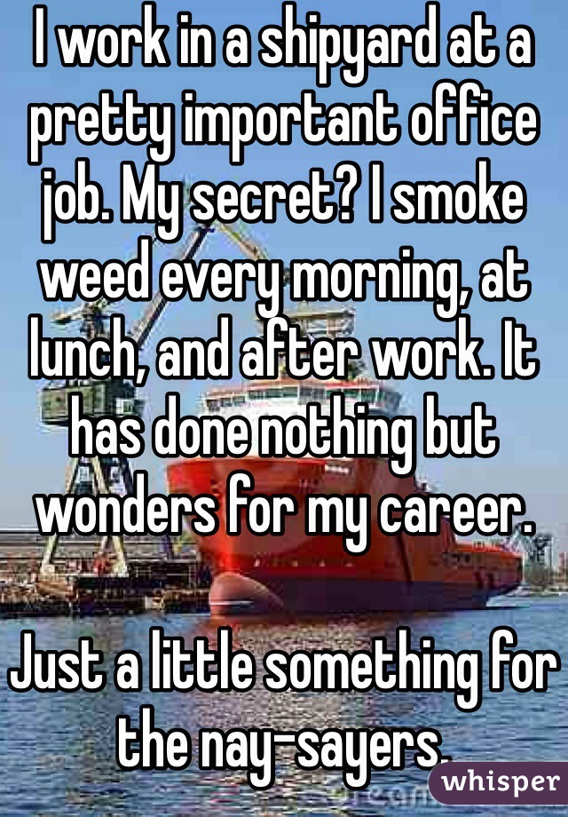 I work in a shipyard at a pretty important office job. My secret? I smoke weed every morning, at lunch, and after work. It has done nothing but wonders for my career.

Just a little something for the nay-sayers.