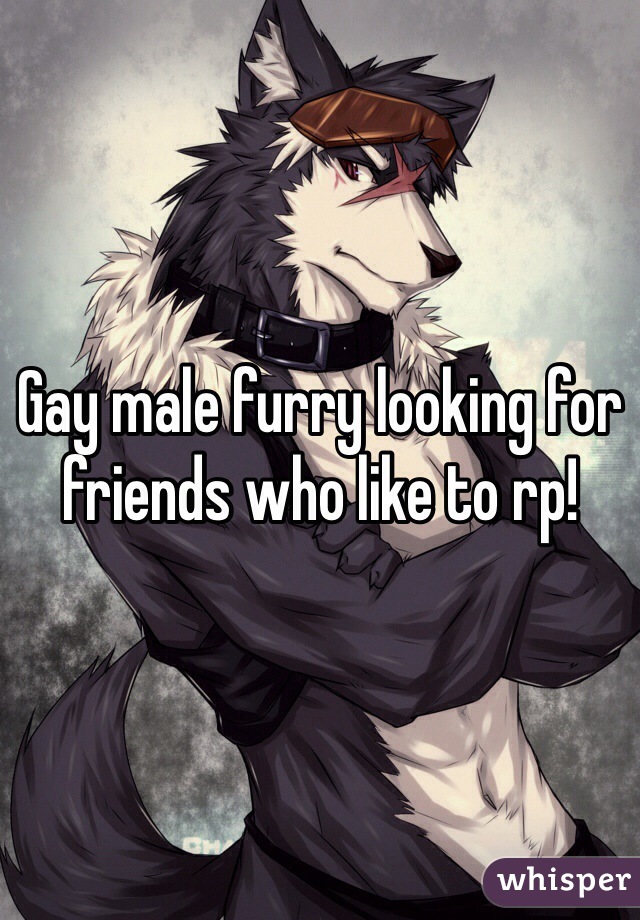 Gay male furry looking for friends who like to rp!