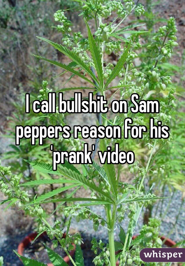 I call bullshit on Sam peppers reason for his 'prank' video