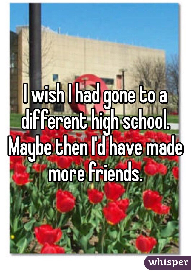 I wish I had gone to a different high school. Maybe then I'd have made more friends.