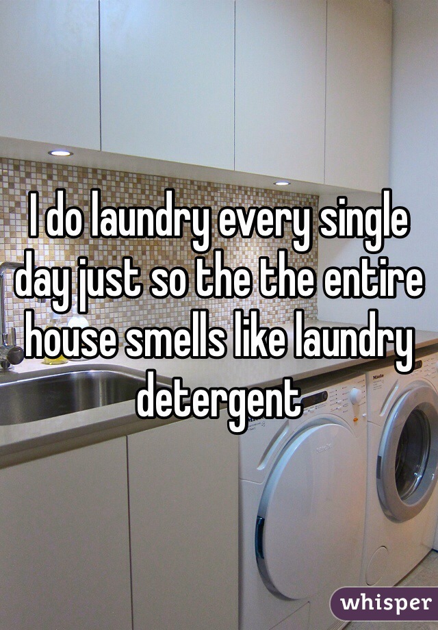I do laundry every single day just so the the entire house smells like laundry detergent 