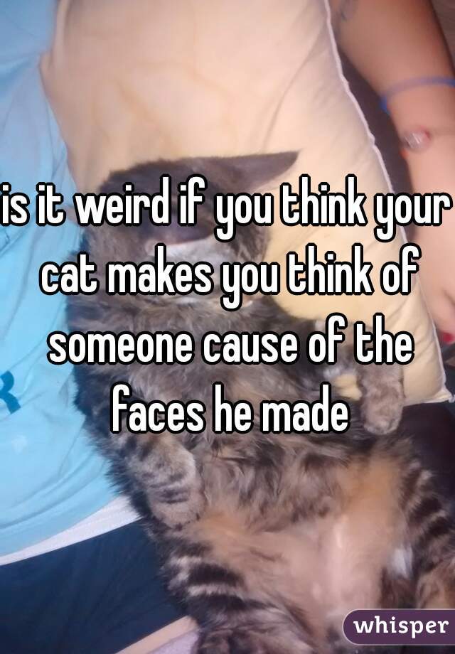 is it weird if you think your cat makes you think of someone cause of the faces he made