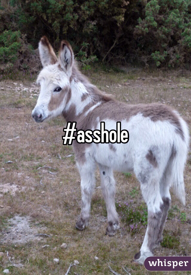 #asshole 