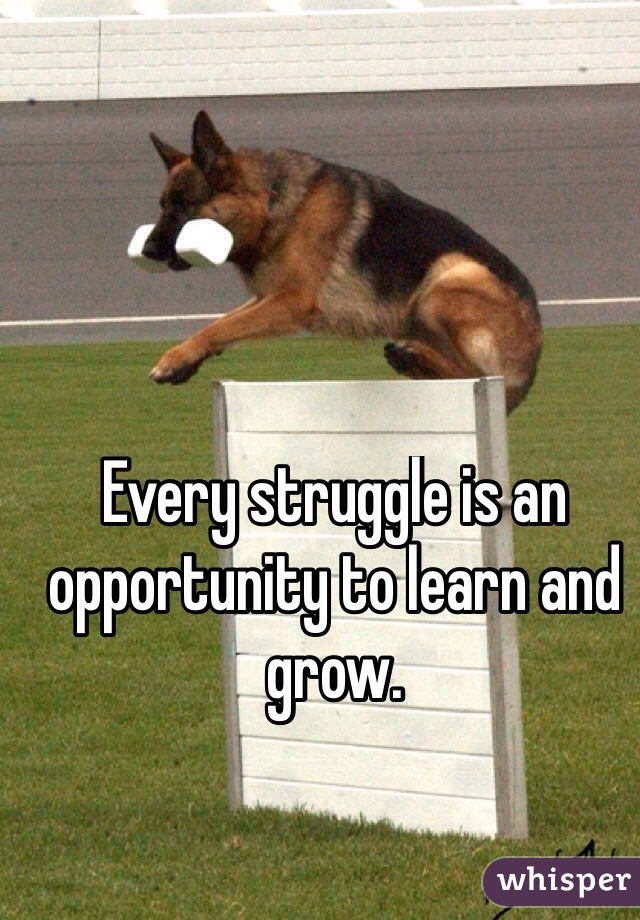 Every struggle is an opportunity to learn and grow.

