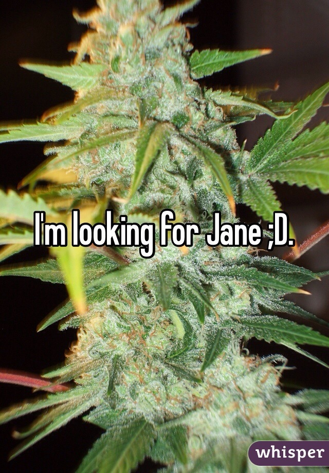 I'm looking for Jane ;D. 