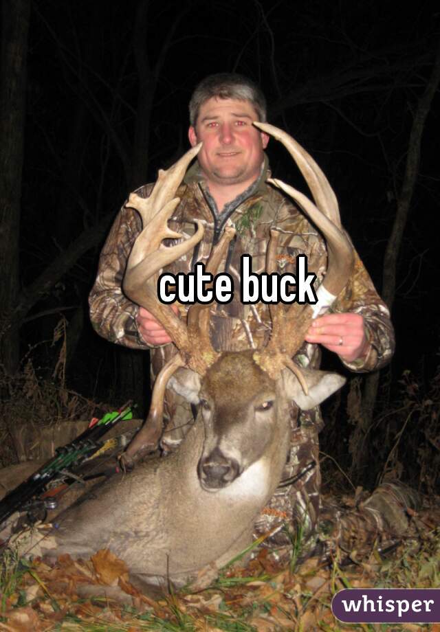 cute buck 