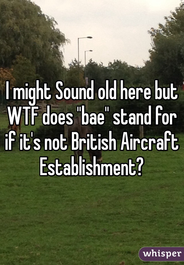 I might Sound old here but WTF does "bae" stand for if it's not British Aircraft Establishment?