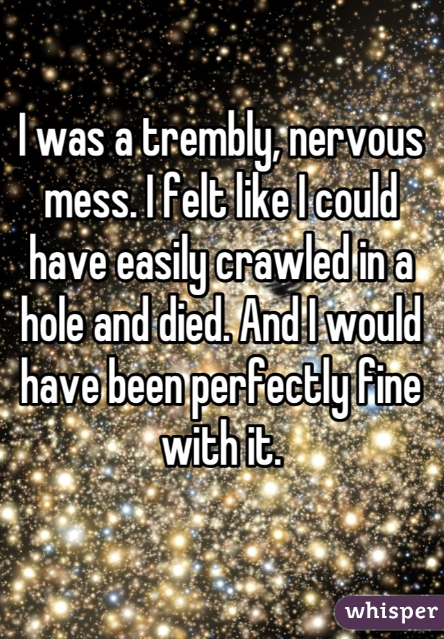 I was a trembly, nervous mess. I felt like I could have easily crawled in a hole and died. And I would have been perfectly fine with it.