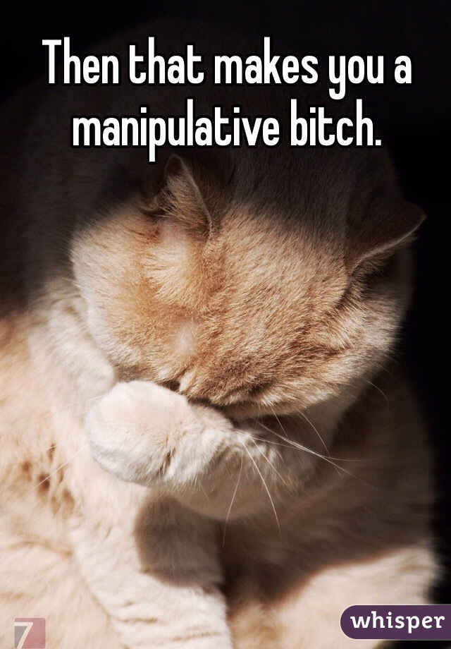 Then that makes you a manipulative bitch.