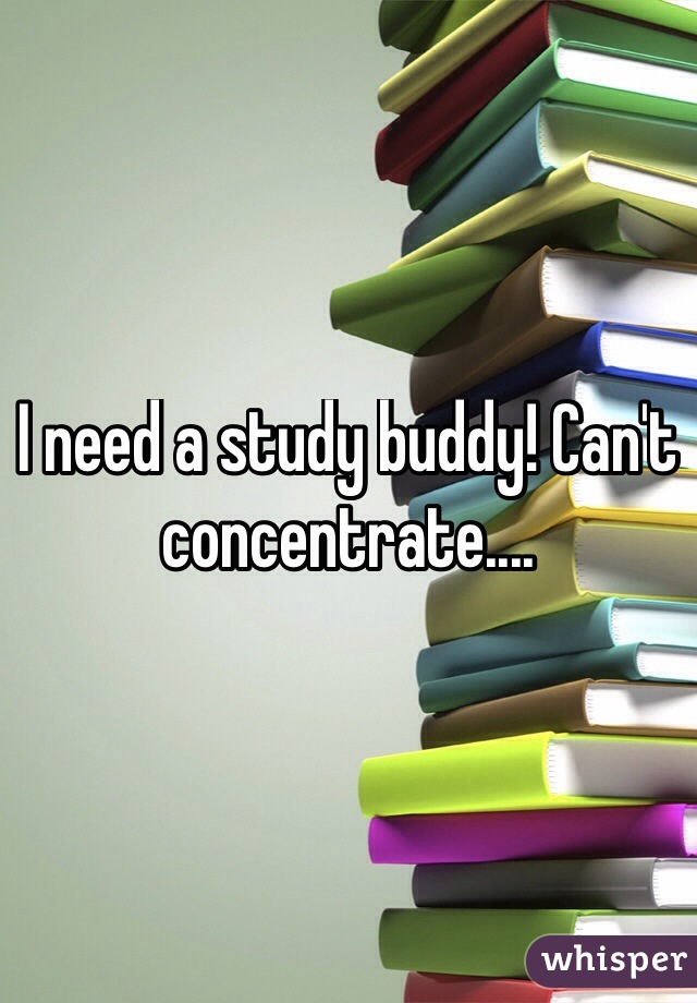 I need a study buddy! Can't concentrate....
