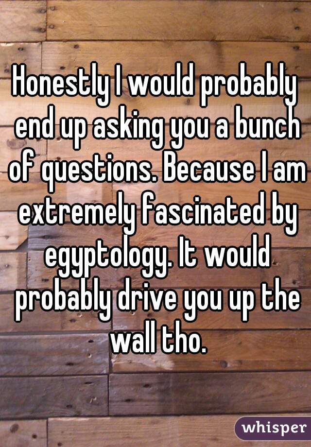 Honestly I would probably end up asking you a bunch of questions. Because I am extremely fascinated by egyptology. It would probably drive you up the wall tho.