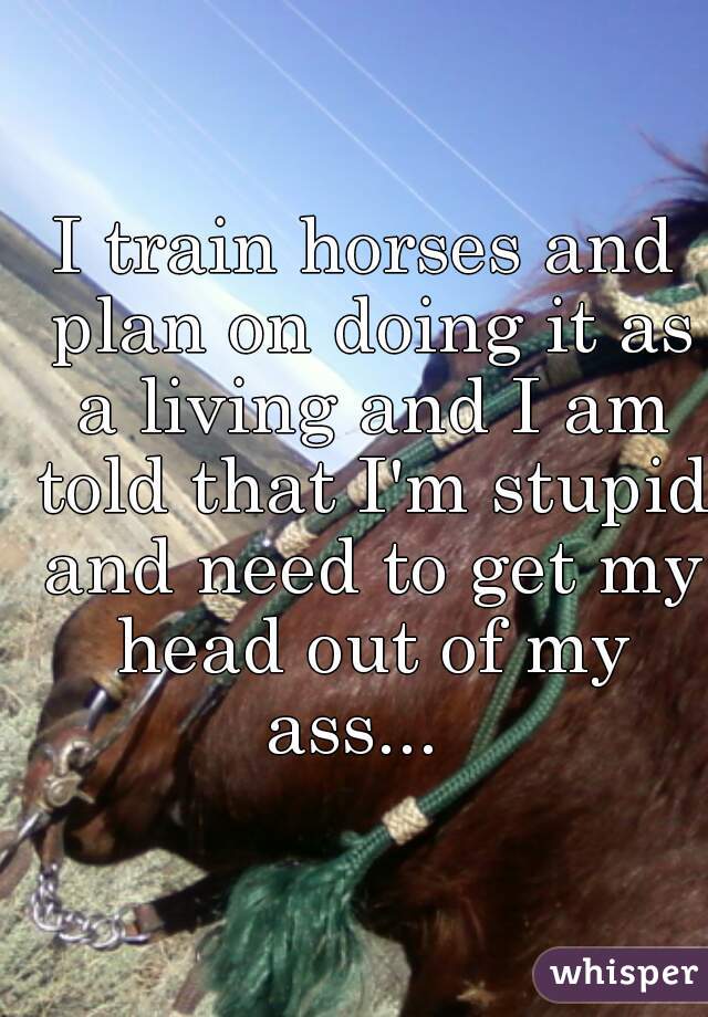 I train horses and plan on doing it as a living and I am told that I'm stupid and need to get my head out of my ass...  