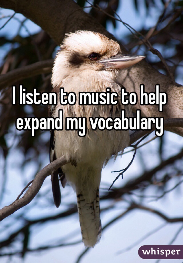 I listen to music to help expand my vocabulary 