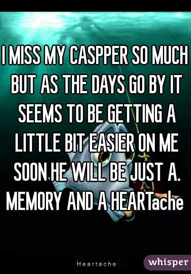 I MISS MY CASPPER SO MUCH BUT AS THE DAYS GO BY IT SEEMS TO BE GETTING A LITTLE BIT EASIER ON ME SOON HE WILL BE JUST A. MEMORY AND A HEARTache  